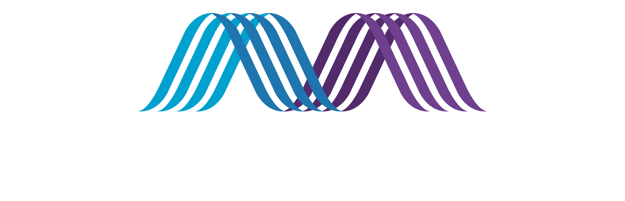 Momentum